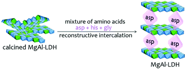 Graphical abstract: Separation of amino acids by selective sorption through reconstructive intercalation in calcined MgAl-layered double hydroxide