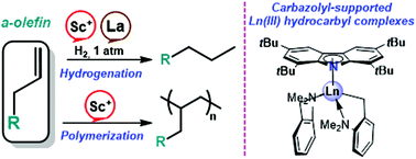 Graphical abstract: π-Carbazolyl supported bis(alkyl) complexes of Sc, Y and La for α-olefin polymerization and hydrogenation