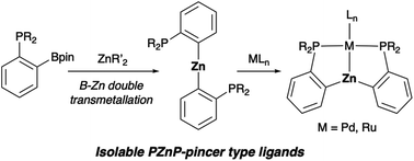 Graphical abstract: Facile synthesis and utilization of bis(o-phosphinophenyl)zinc as isolable PZnP-pincer ligands enabled by boron–zinc double transmetallation