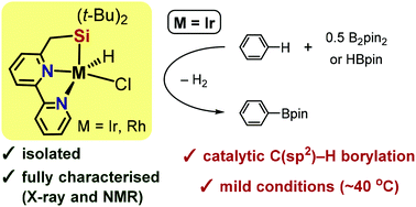 Graphical abstract: Iridium and rhodium complexes bearing a silyl-bipyridine pincer ligand: synthesis, structures and catalytic activity for C–H borylation of arenes