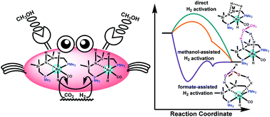 Graphical abstract: A theoretical study on the hydrogenation of CO2 to methanol catalyzed by ruthenium pincer complexes