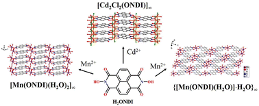 Graphical abstract: Hydroxamate based transition metal–organic coordination polymers with semiconductive properties