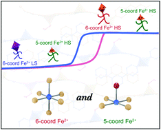 Graphical abstract: Co-existence of five- and six-coordinate iron(ii) species captured in a geometrically strained spin-crossover Hofmann framework