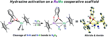 Graphical abstract: A thiolate-bridged ruthenium–molybdenum complex featuring terminal nitrido and bridging amido ligands derived from the N–H and N–N bond cleavage of hydrazine