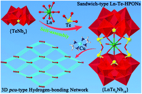 Graphical abstract: A lanthanide–tellurium heterometal encapsulated sandwich-type heteropolyoxoniobate with a 3D pcu-type hydrogen-bonded network