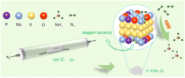 Graphical abstract: A phosphorus-doped potassium peroxyniobate electrocatalyst with enriched oxygen vacancies boosts electrocatalytic nitrogen reduction to ammonia