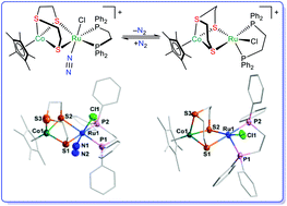 Graphical abstract: Reversible binding of dinitrogen on a thiolate-bridged cobalt–ruthenium complex supported by a flexible bidentate phosphine ligand