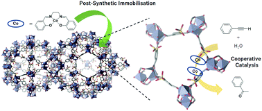 Graphical abstract: Cooperative catalysis in a metal–organic framework via post-synthetic immobilisation