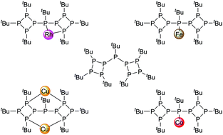Graphical abstract: Coordination chemistry of hepta-tert-butylnonaphosphane