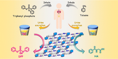 Graphical abstract: A stable Cd-MOF as a dual-responsive luminescent biosensor for the determination of urinary diphenyl phosphate and hippuric acid as biomarkers for human triphenyl phosphate and toluene poisoning
