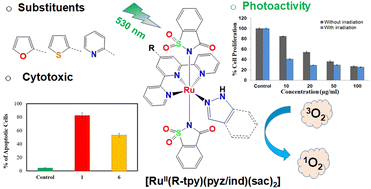 Graphical abstract: Quaternary Ru(ii) complexes of terpyridines, saccharin and 1,2-azoles: effect of substituents on molecular structure, speciation, photoactivity, and photocytotoxicity