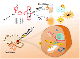 Graphical abstract: Ligand-regulated three-photon AIE properties of manganese(ii) complexes for photodynamic therapy