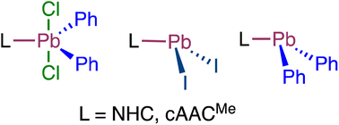 Graphical abstract: N-heterocyclic carbene and cyclic (alkyl)(amino)carbene adducts of plumbanes and plumbylenes