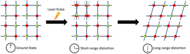 Graphical abstract: Short- vs. long-range elastic distortion: structural dynamics of a [2 × 2] tetrairon(ii) spin crossover grid complex observed by time-resolved X-Ray crystallography