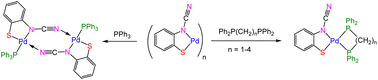 Graphical abstract: Palladium(ii) ortho-cyano-aminothiophenolate (ocap) complexes