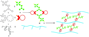 Graphical abstract: Metallacycle-cored fluorescent supramolecular polymer networks for the detection of acidic environments