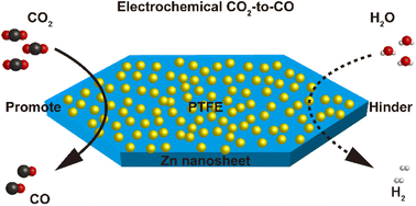 Graphical abstract: Local environment-mediated efficient electrocatalysis of CO2 to CO on Zn nanosheets