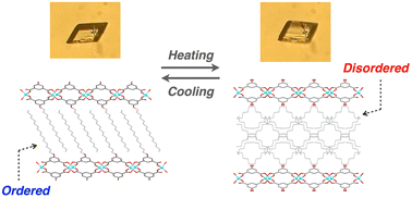 Graphical abstract: Thermally responsive morphological changes of layered coordination polymers induced by disordering/ordering of flexible alkyl chains