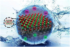 Graphical abstract: Coral-like Fe-doped MoO2/C heterostructures with rich oxygen vacancies for efficient electrocatalytic N2 reduction