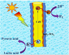 Graphical abstract: Regulating the charge carrier transport rate via bridging ternary heterojunctions to enable CdS nanorods’ solar-driven hydrogen evolution