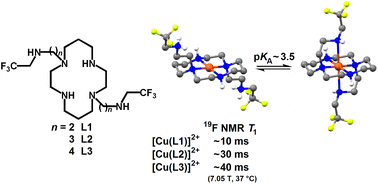 Graphical abstract: Copper(ii) complexes of cyclams with N-(2,2,2-trifluoroethyl)-aminoalkyl pendant arms as potential probes for 19F magnetic resonance imaging