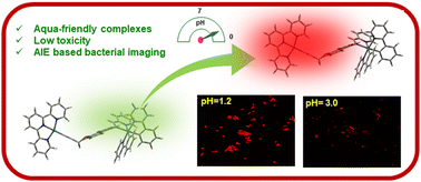 Graphical abstract: Aqua-friendly organometallic Ir–Pt complexes: pH-responsive AIPE-guided imaging of bacterial cells