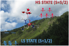 Graphical abstract: First crystal structure of an Fe(iii) anionic complex based on a pyruvic acid thiosemicarbazone ligand with Li+: synthesis, features of magnetic behavior and theoretical analysis