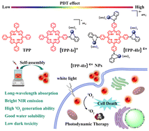 Graphical abstract: Self-assembled nanoparticles based on cationic mono-/AIE tetra-nuclear Ir(iii) complexes: long wavelength absorption/near-infrared emission photosensitizers for photodynamic therapy