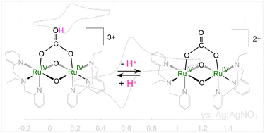 Graphical abstract: Ru(iv)–Ru(iv) complexes having the doubly oxido-bridged core with a bridging carbonato or hydrogencarbonato ligand