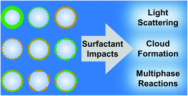 Graphical abstract: Emerging investigator series: surfactants, films, and coatings on atmospheric aerosol particles: a review