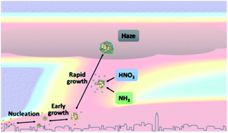 Graphical abstract: Survival of newly formed particles in haze conditions