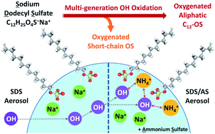 Graphical abstract: Chemical transformation of a long-chain alkyl organosulfate via heterogeneous OH oxidation: a case study of sodium dodecyl sulfate