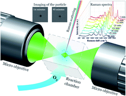 Graphical abstract: Characterization of single fungal aerosol particles in a reactive atmospheric environment using time-resolved optical trapping-Raman spectroscopy (OT-RS)