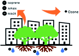 Graphical abstract: Analysis of the effect of abiotic stressors on BVOC emissions from urban green infrastructure in northern Germany