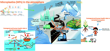 Graphical abstract: Ecological and human health risks of atmospheric microplastics (MPs): a review