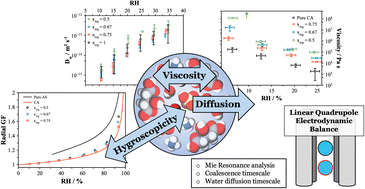 Graphical abstract: Exploring the hygroscopicity, water diffusivity, and viscosity of organic–inorganic aerosols – a case study on internally-mixed citric acid and ammonium sulfate particles
