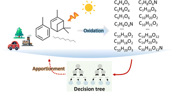 Graphical abstract: Precursor apportionment of atmospheric oxygenated organic molecules using a machine learning method