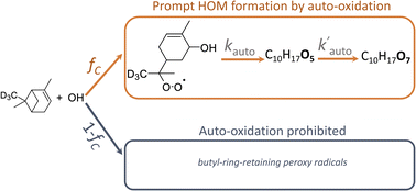 Graphical abstract: Ring-opening yields and auto-oxidation rates of the resulting peroxy radicals from OH-oxidation of α-pinene and β-pinene