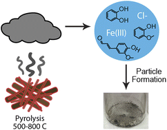 Graphical abstract: Formation of insoluble brown carbon through iron-catalyzed reaction of biomass burning organics