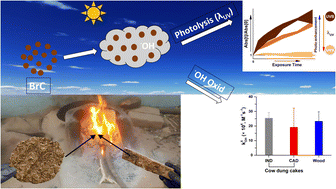 Graphical abstract: Aqueous-phase photochemical oxidation of water-soluble brown carbon aerosols arising from solid biomass fuel burning