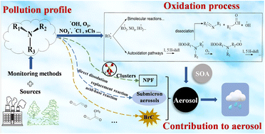 Graphical abstract: A new advance in the pollution profile, transformation process, and contribution to aerosol formation and aging of atmospheric amines
