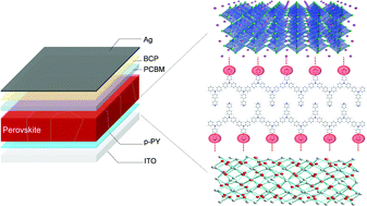 Graphical abstract: Robust hole transport material with interface anchors enhances the efficiency and stability of inverted formamidinium–cesium perovskite solar cells with a certified efficiency of 22.3%