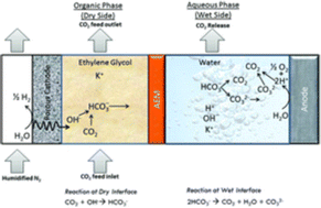 Graphical abstract: Comment on “Migration-assisted, moisture gradient process for ultrafast, continuous CO2 capture from dilute sources at ambient conditions” by A. Prajapati, R. Sartape, T. Rojas, N. K. Dandu, P. Dhakal, A. S. Thorat, J. Xie, I. Bessa, M. T. Galante, M. H. S. Andrade, R. T. Somich, M. V. Rebouças, G. T. Hutras, N. Diniz, A. T. Ngo, J. Shah and M. R. Singh, Energy Environ. Sci., 2022, 15, 680