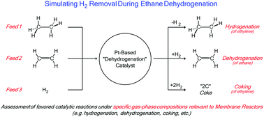Graphical abstract: Catalytic limitations on alkane dehydrogenation under H2 deficient conditions relevant to membrane reactors