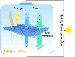 Graphical abstract: A sulfonated ultramicroporous membrane with selective ion transport enables osmotic energy extraction from multiform salt solutions with exceptional efficiency