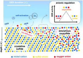 Graphical abstract: An anionic regulation mechanism for the structural reconstruction of sulfide electrocatalysts under oxygen evolution conditions