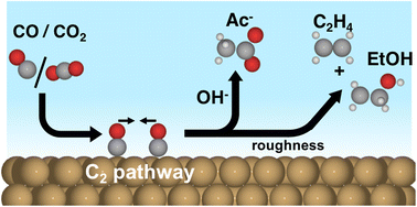 Graphical abstract: The mechanism for acetate formation in electrochemical CO(2) reduction on Cu: selectivity with potential, pH, and nanostructuring