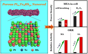 Graphical abstract: Three-dimensional porous platinum–tellurium–rhodium surface/interface achieve remarkable practical fuel cell catalysis