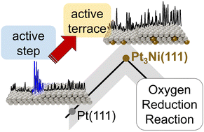 Graphical abstract: A trade-off between ligand and strain effects optimizes the oxygen reduction activity of Pt alloys