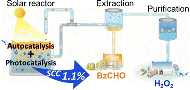 Graphical abstract: Solar-driven H2O2 production via cooperative auto- and photocatalytic oxidation in fine-tuned reaction media